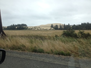 View of the Oregon dunes